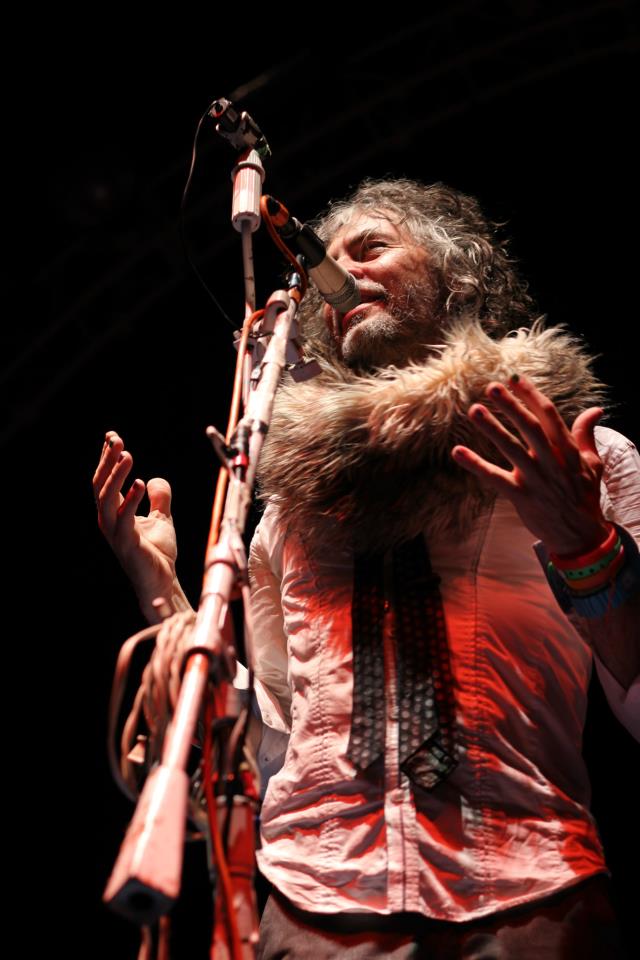 LouFest 2012 | The Flaming Lips - Photo by: Matthew McGuire