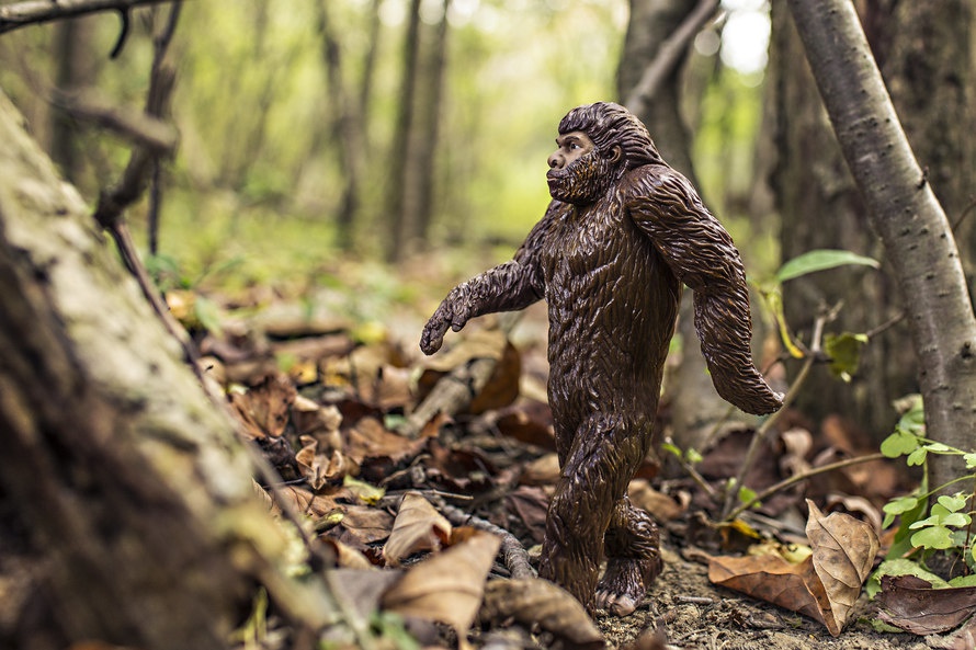 An animal toy walking in nature. Photo by: www.gratisography.com