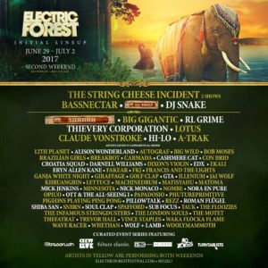 Electric Forest 2017 lineup featuring The String Cheese Incident, ODESZA, Bassnectar and more. Photo by: Electric Forest