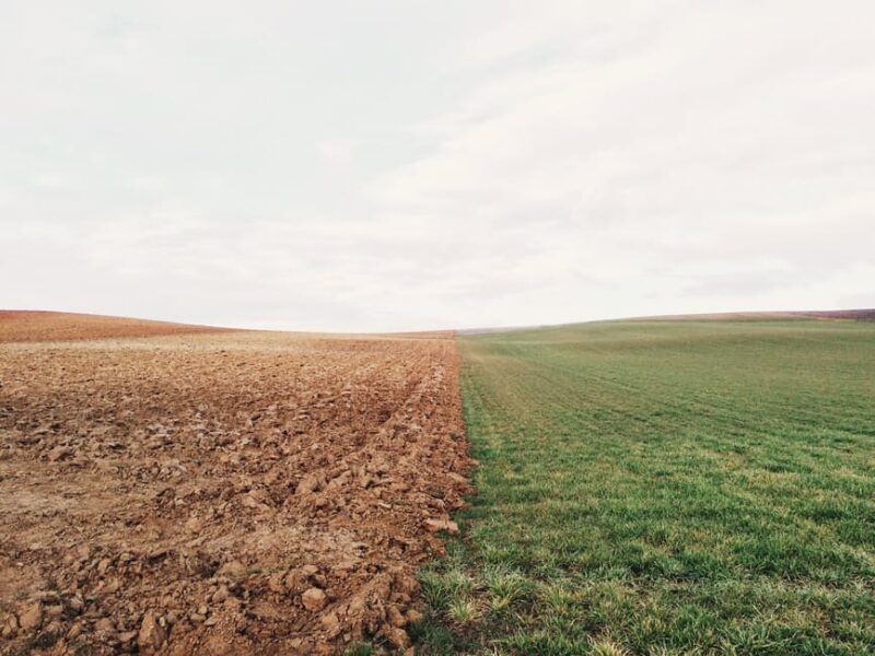 Climate Change Impacts the Environment by Air, Land and Sea | Web
