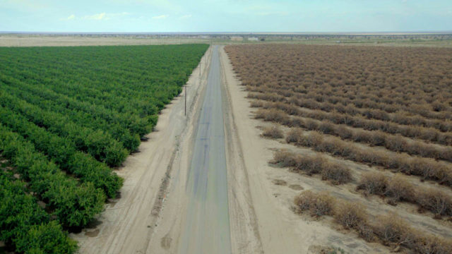 A still from Water & Power: A California Heist by Marina Zenovich, an official selection of the U.S. Documentary Competition at the 2017 Sundance Film Festival. © 2016 Sundance Institute | photo by Fresh Water Films/Bryan Harvey/Tim Gould. A still from Water & Power: A California Heist by Marina Zenovich, an official selection of the U.S. Documentary Competition at the 2017 Sundance Film Festival. © 2016 Sundance Institute | photo by Fresh Water Films/Bryan Harvey/Tim Gould.