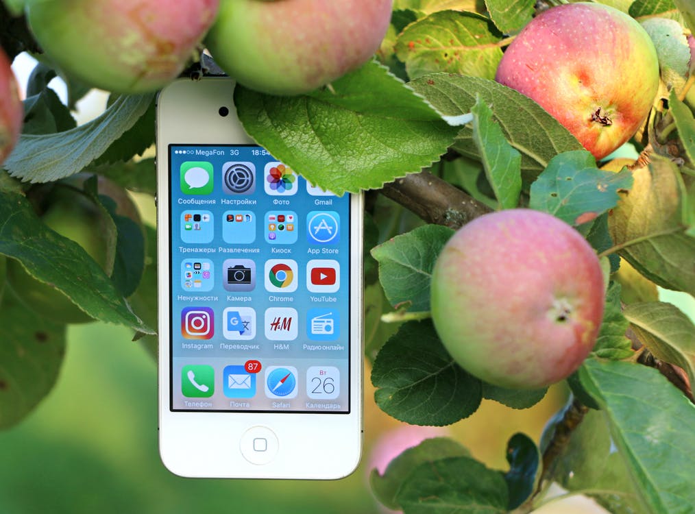 iPhone with apples. Photo by: Pexels.com