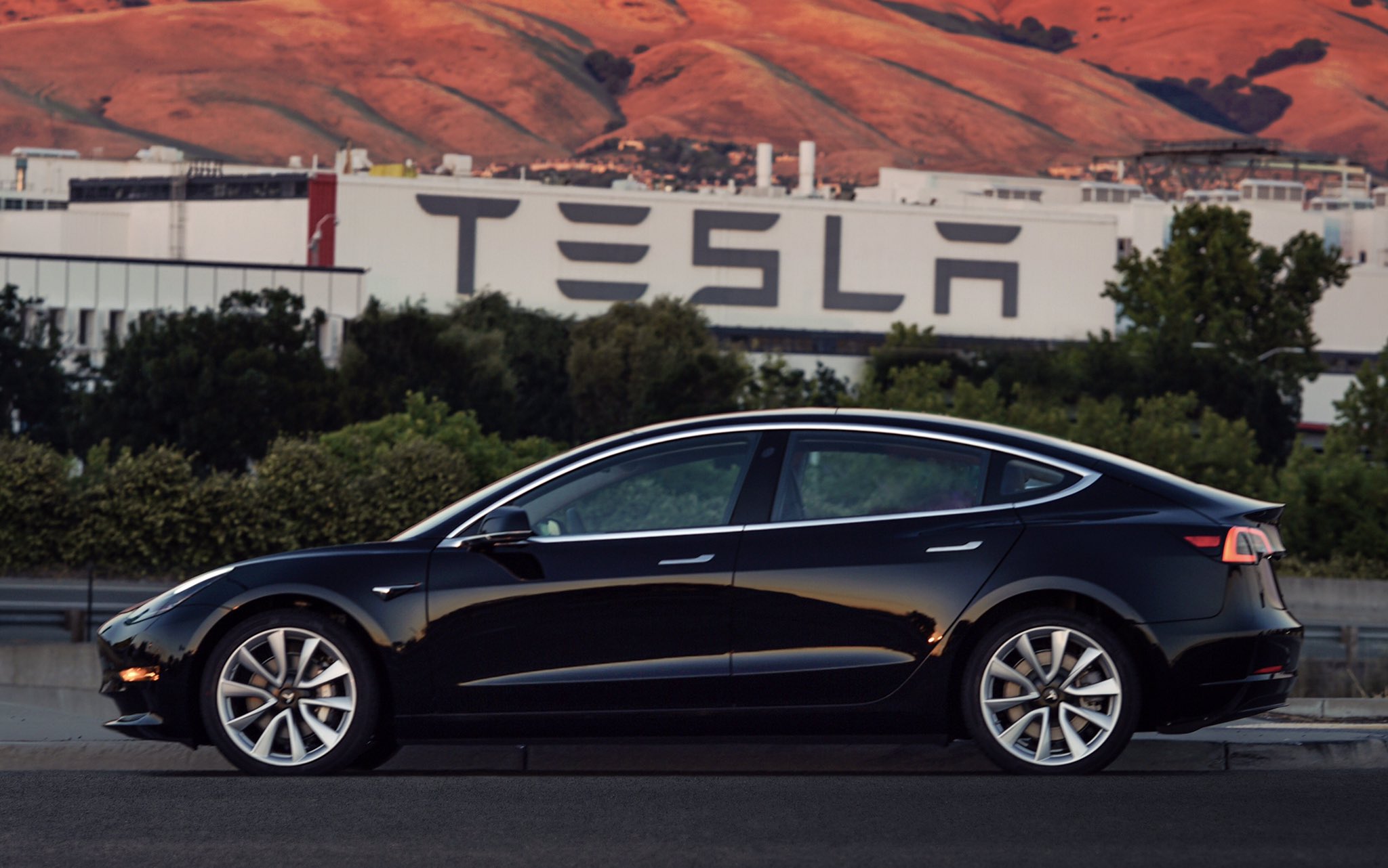 Model 3 by Tesla Motors. Photo by: Elon Musk / Twitter