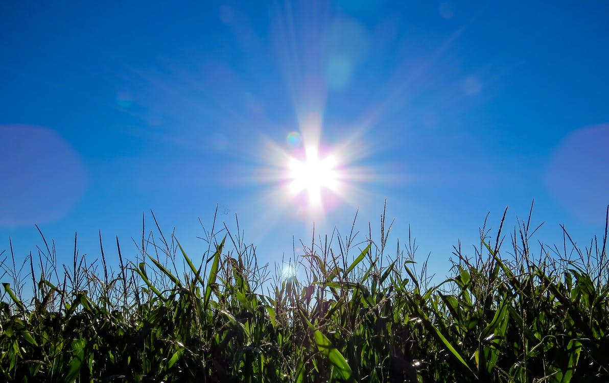 The sun over cropland. Photo by: Pexels.com