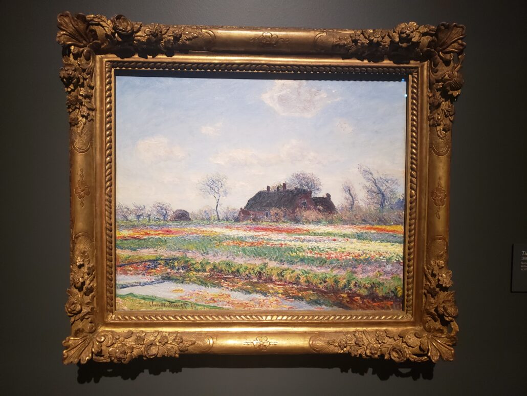 Tulip Fields at Sassenheim. Painting by Claude Monet in 1886. Photo by: Matthew McGuire