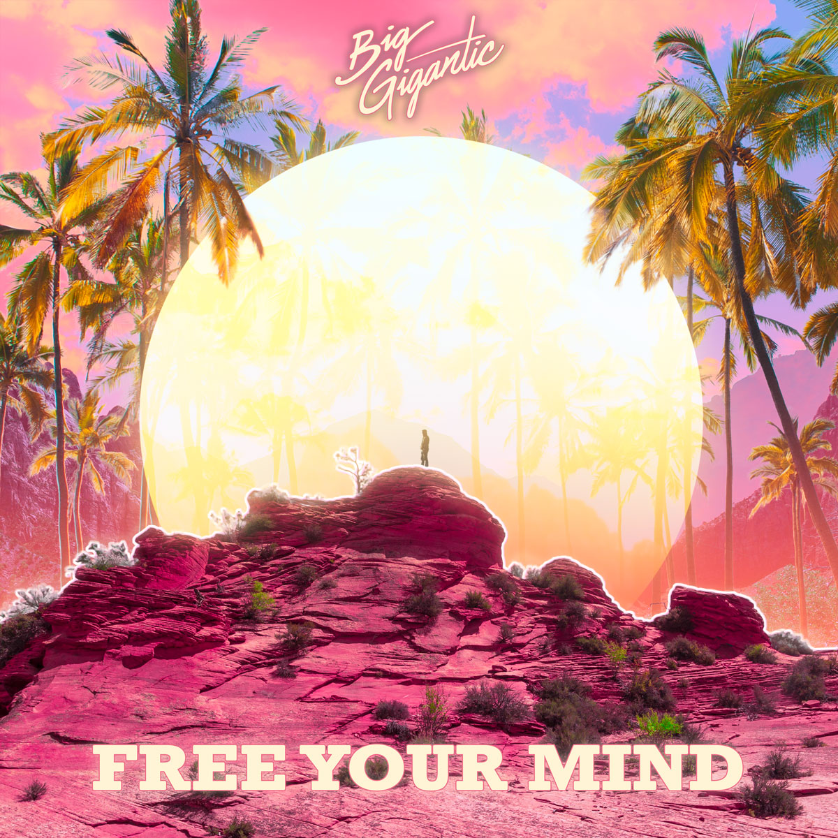Free Your Mind album cover by Big Gigantic. Photo by: Big Gigantic