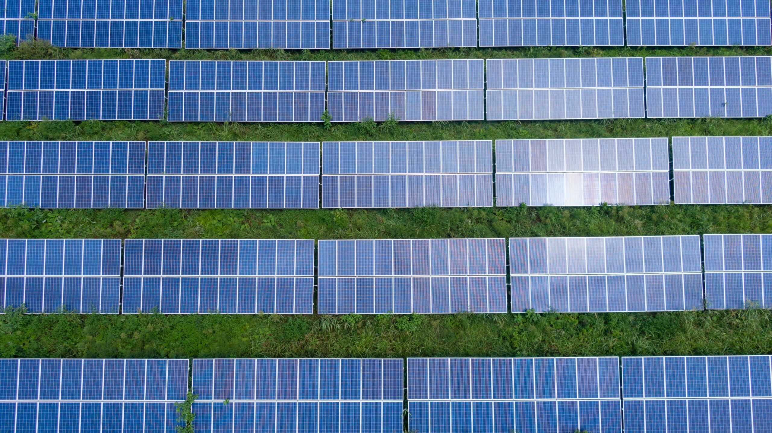 A solar power grid. Photo by: Kelly Lacy / Pexels.com