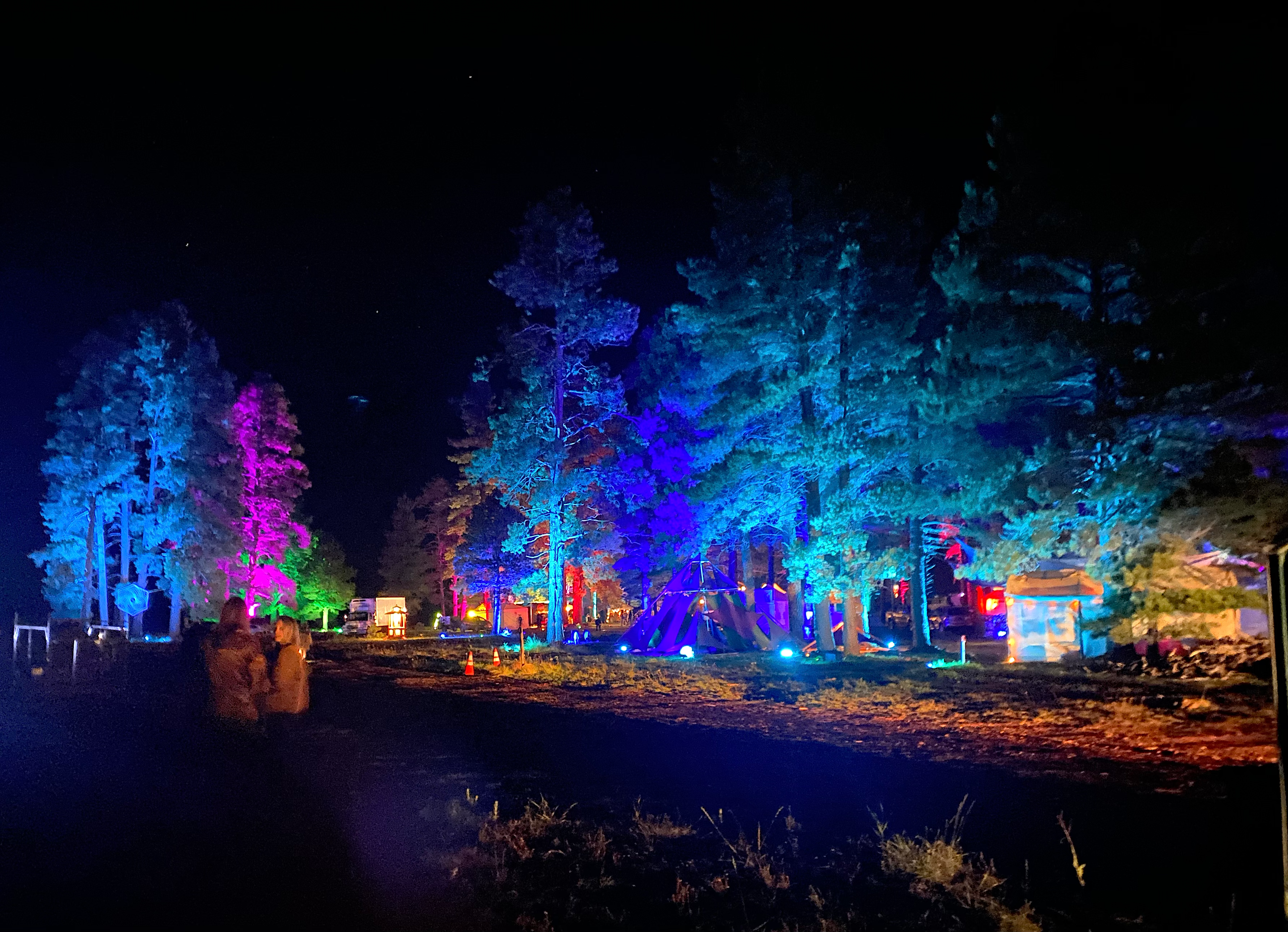 The Ponderosa Pines are illuminated with colorful lights as attendees arrive at the main festival area. Photo by: Marissa Novel.