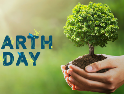 Celebrating Our Home: Earth Day 2024 – A Time for Action