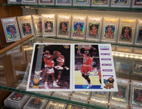 1993-94 Upper Deck Pro View 3D #23 #91 Michael Jordan | Self-Graded Sports Cards